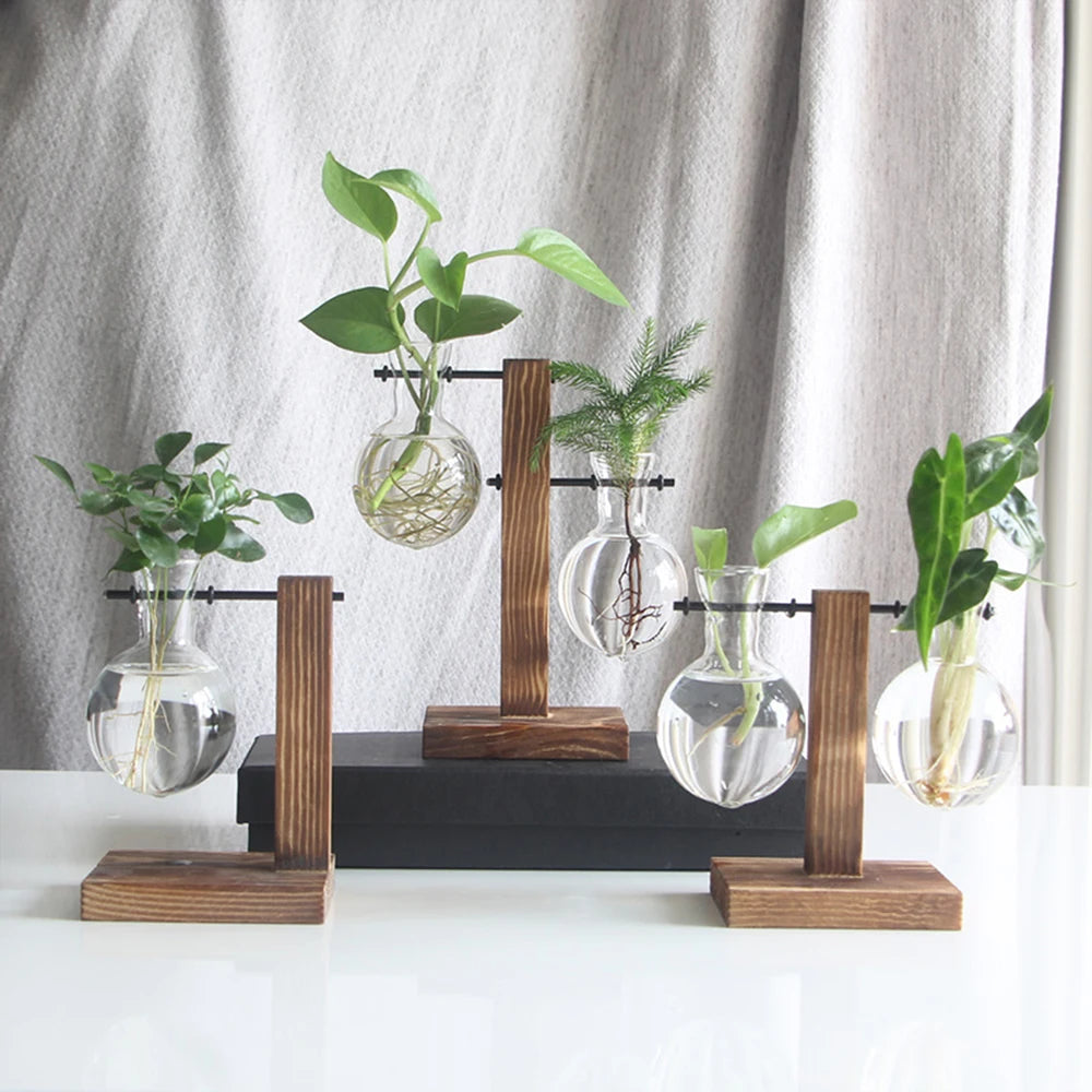 Vase créatif en verre pour jardinière de bureau avec support en bois | HydroBloom™