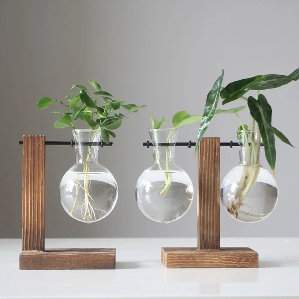 Vase créatif en verre pour jardinière de bureau avec support en bois | HydroBloom™