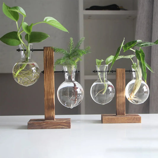 Vase créatif en verre pour jardinière de bureau avec support en bois | HydroBloom™