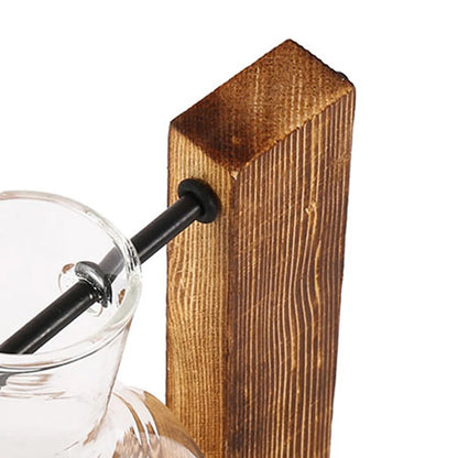 Creative Glass Desktop Planter Bulb Vase with Wooden Stand | HydroBloom™